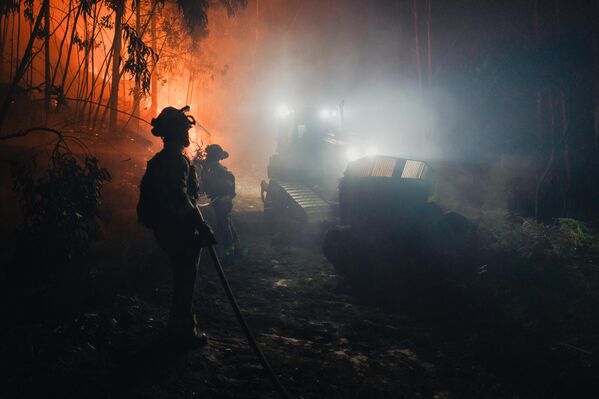 Galiçya’da ay başından bu yana yaklaşık 60 bin hektarlık alan alevler nedeniyle kül olurken, İspanya genelinde bu yıl yanan ormanlık alan 120 bine yaklaşmış durumda. - Sputnik Türkiye