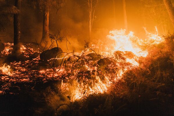 Özellikle Ourense’e bağlı Bouses kasabasında devam eden yangını söndürmek için hava ve kara ekipleri koordineli şekilde müdahalede bulunuyor. Yetkililer, rüzgarın etkisi ve sıcak hava koşullarının yangın söndürme çalışmalarını zorlaştırdığını ifade ediyor. - Sputnik Türkiye