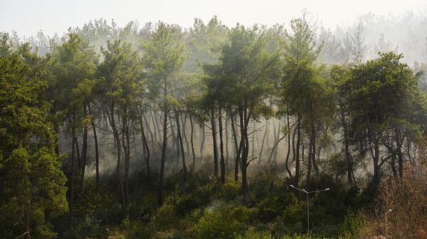 Menderes'te yangın - Sputnik Türkiye