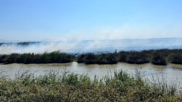 UNESCO Dünya Mirası Geçici Listesi'nde yer alan Kızılırmak Deltası Kuş Cenneti'nde yangın - Sputnik Türkiye