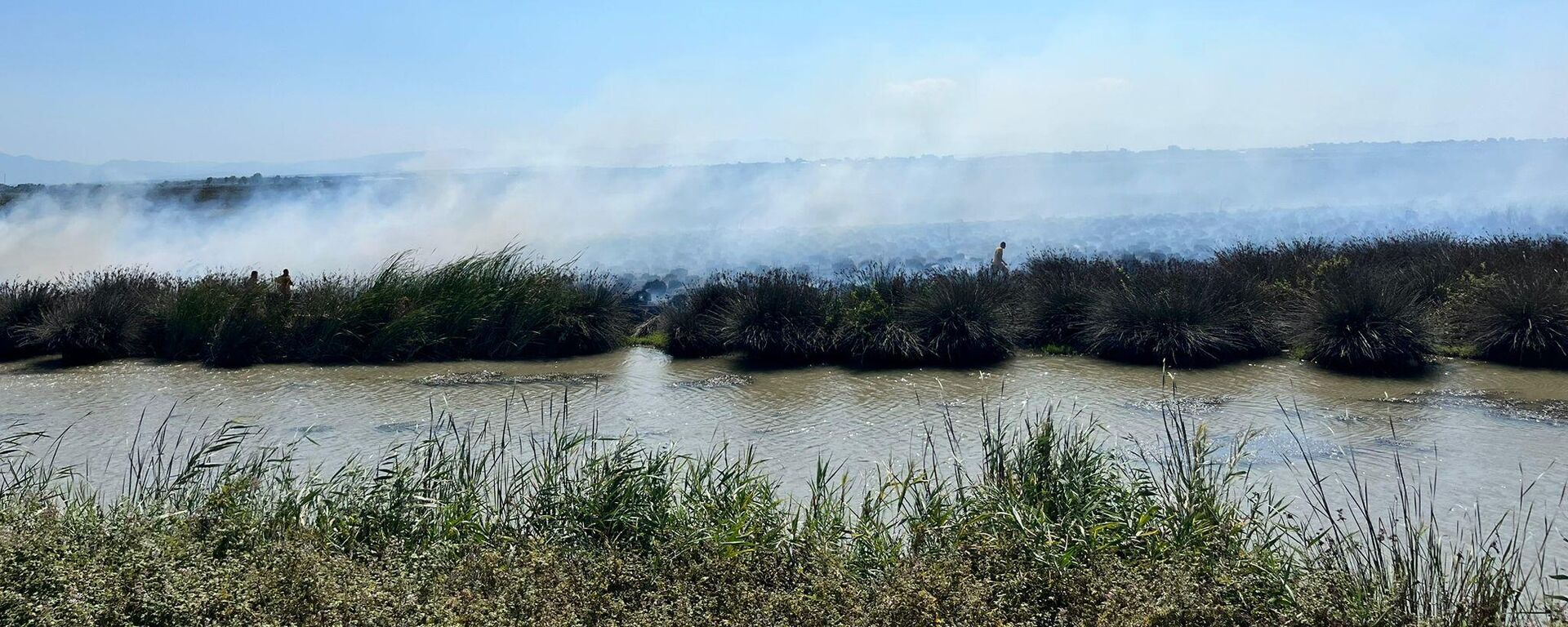 UNESCO Dünya Mirası Geçici Listesi'nde yer alan Kızılırmak Deltası Kuş Cenneti'nde yangın - Sputnik Türkiye, 1920, 22.08.2025