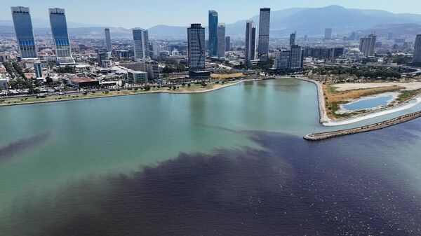 İzmir Körfezi - Sputnik Türkiye