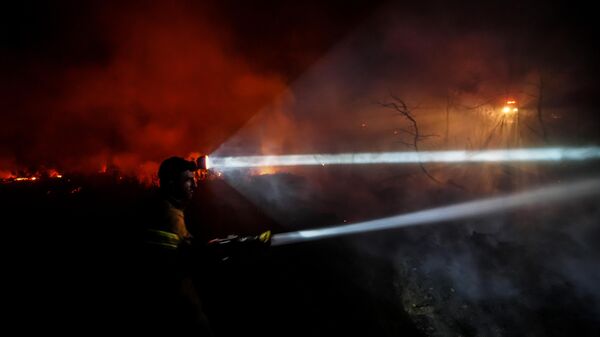 Gelibolu'da kırsal alanda başlayıp ormana sıçrayan yangın büyük ölçüde kontrol altına alındı. - Sputnik Türkiye