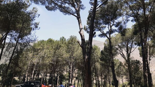 Lebanese protesters take a break during a sit-in against the Bisri dam project, in the Bisri Valley, 58 kilometers (36 miles) southeast of Beirut, Lebanon, Tuesday, July. 21, 2020.. - Sputnik Türkiye