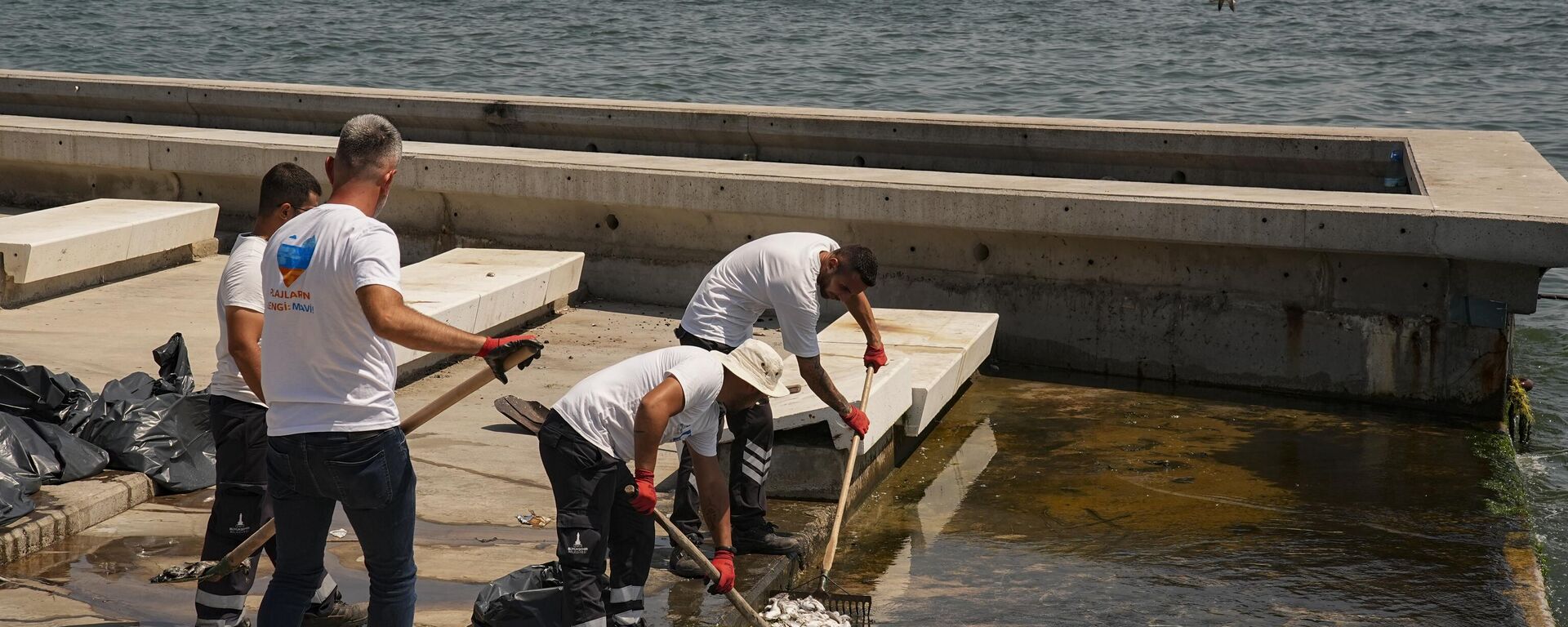 İzmir balık ölümleri - Sputnik Türkiye, 1920, 23.08.2025
