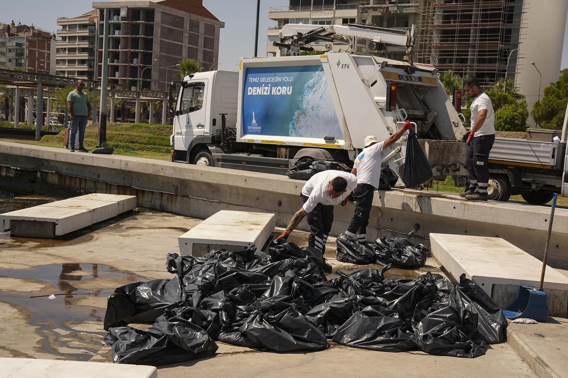 İzmir balık ölümleri - Sputnik Türkiye, 1920, 23.08.2025