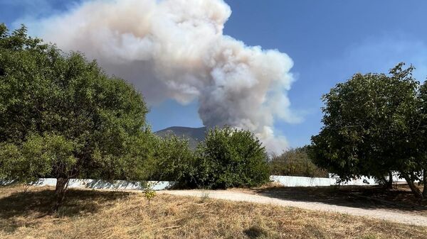 Denizli'de yangın - Sputnik Türkiye