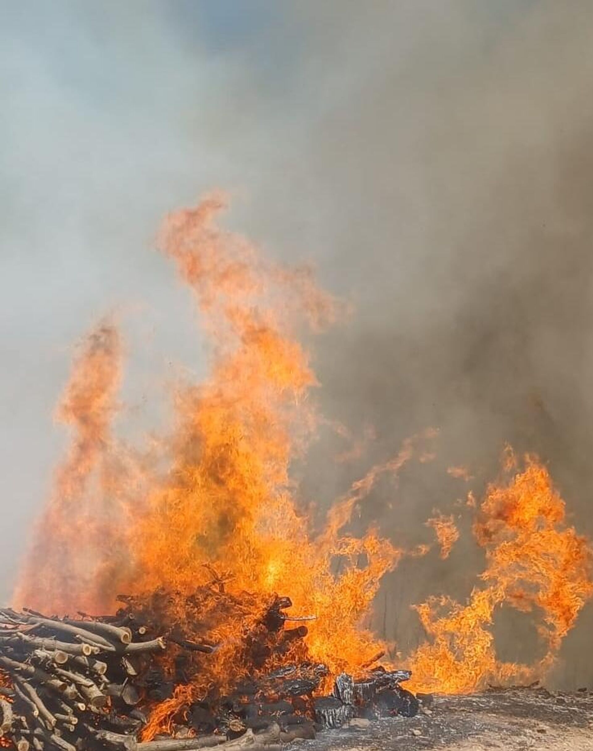 Malatya'da yangın - Sputnik Türkiye, 1920, 24.08.2025