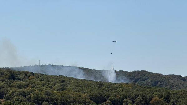 Sarıyer'de orman yangını - Sputnik Türkiye