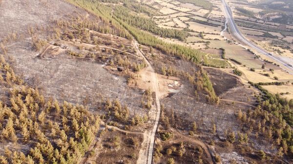 Denizli'deki orman yangınıyla ilgili 1 kişi yakalandı - Sputnik Türkiye