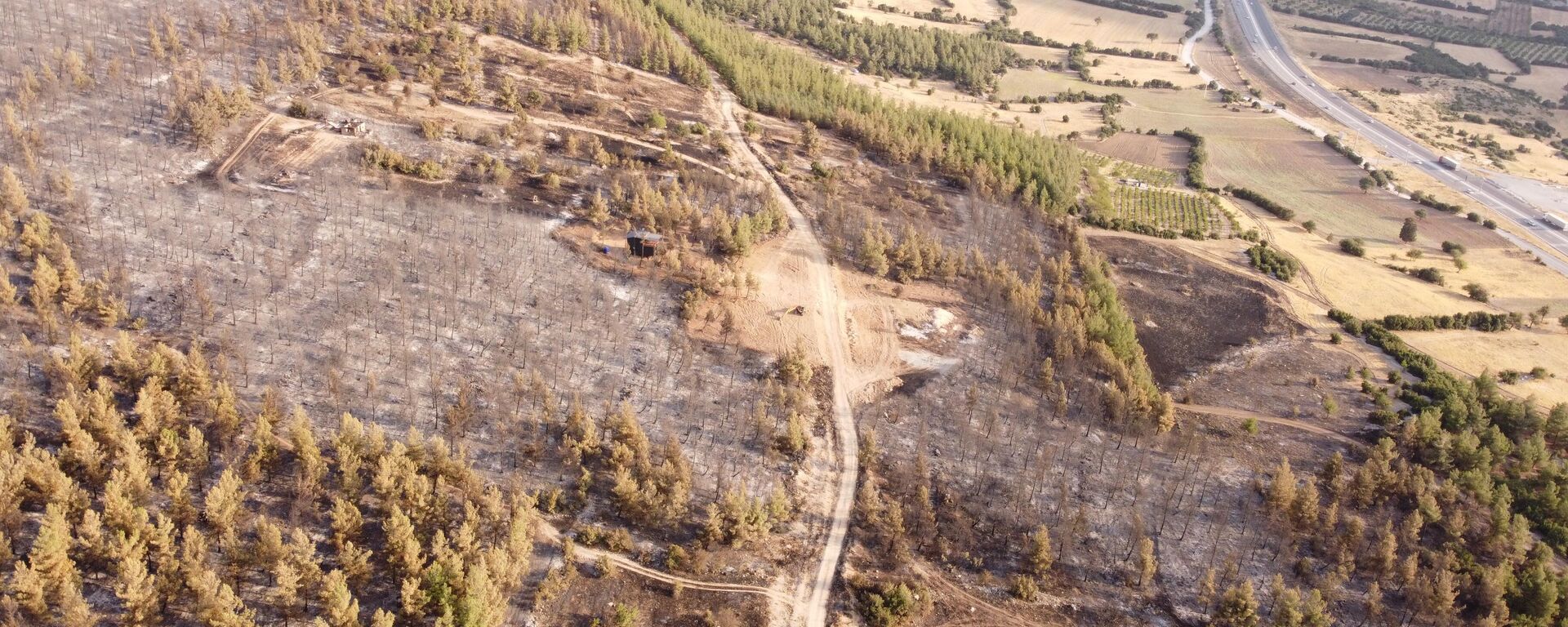 Denizli'deki orman yangınıyla ilgili 1 kişi yakalandı - Sputnik Türkiye, 1920, 24.08.2025