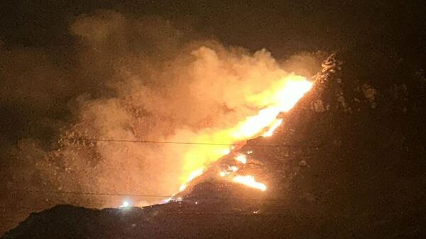 Balıkesir Marmara Adası'nda bulunan ormanlık alanda yangın çıktı - Sputnik Türkiye