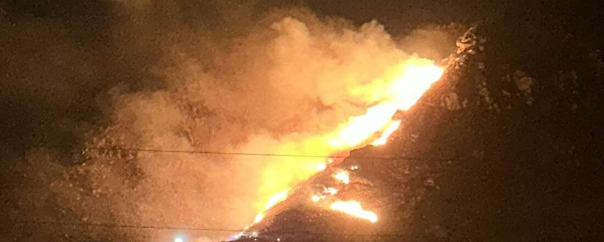 Balıkesir Marmara Adası'nda bulunan ormanlık alanda yangın çıktı - Sputnik Türkiye, 1920, 25.08.2025