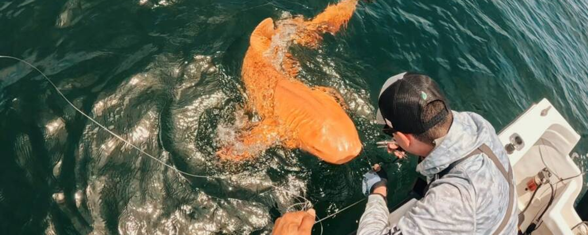 Kosta Rika kıyılarında nadir turuncu köpekbalığı görüldü - Sputnik Türkiye, 1920, 25.08.2025