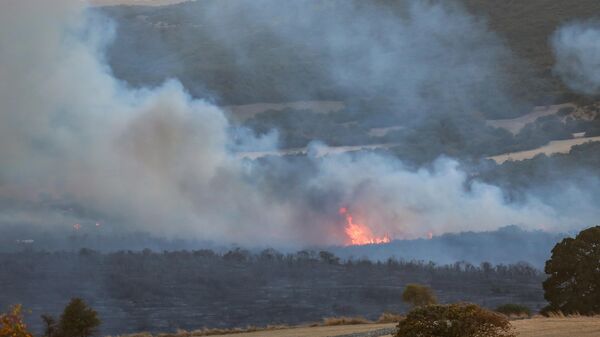 Balıkesir Orman Yangını - Sputnik Türkiye