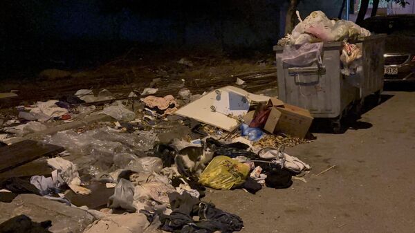 Çöp kutusu - Sputnik Türkiye