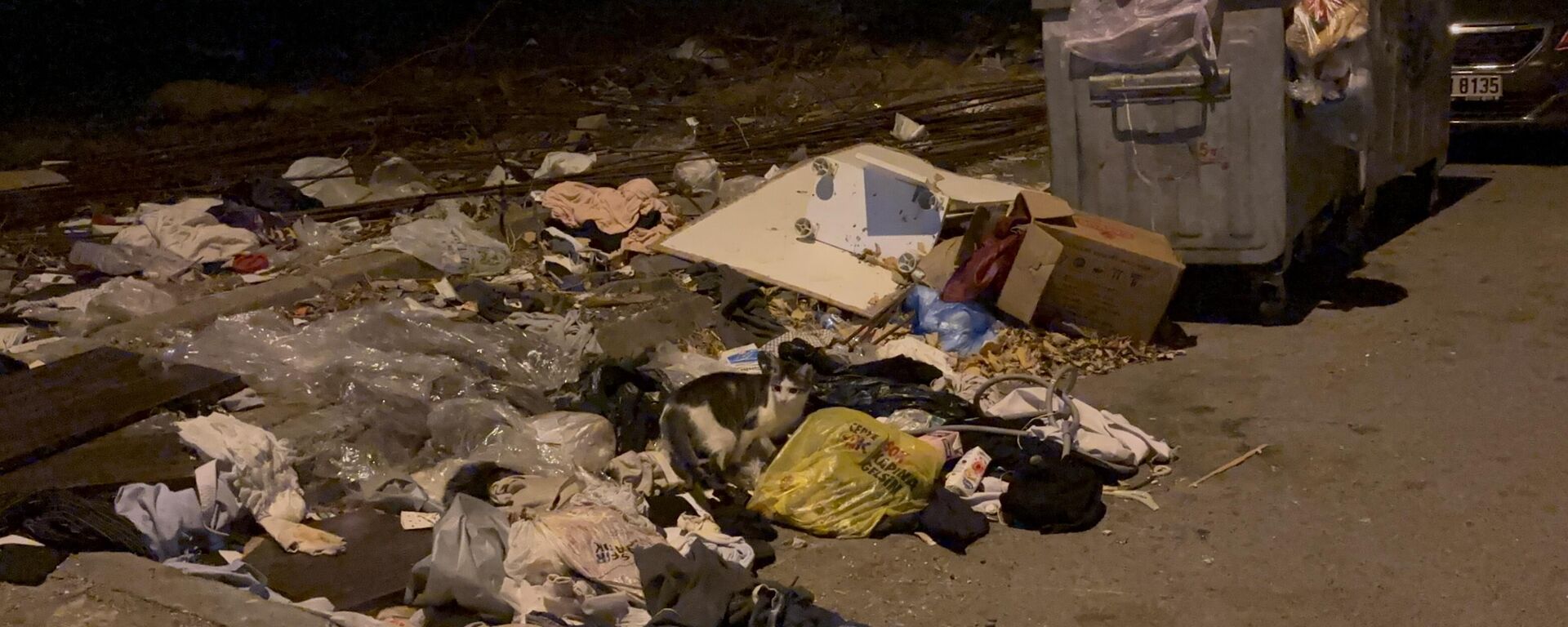 Çöp kutusu - Sputnik Türkiye, 1920, 26.08.2025