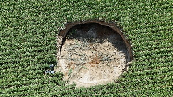 Karaman'da mısır tarlasında obruk - Sputnik Türkiye