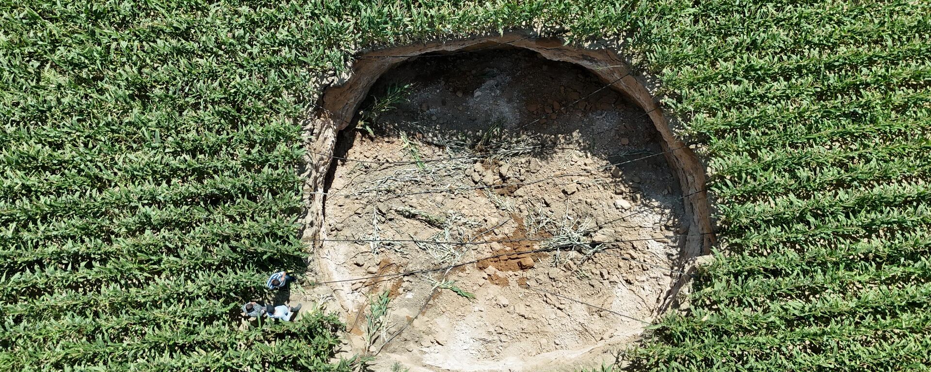 Karaman'da mısır tarlasında obruk - Sputnik Türkiye, 1920, 26.08.2025