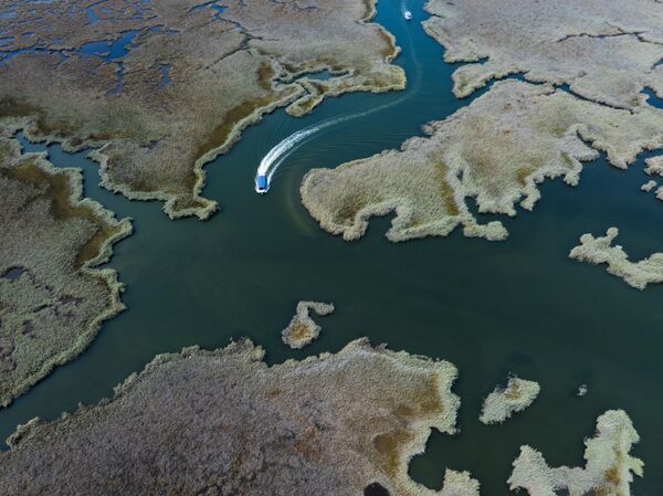 Muğla’nın Ortaca ilçesine bağlı Dalyan Mahallesi, hem doğal hem de tarihi zenginlikleriyle öne çıkıyor. - Sputnik Türkiye