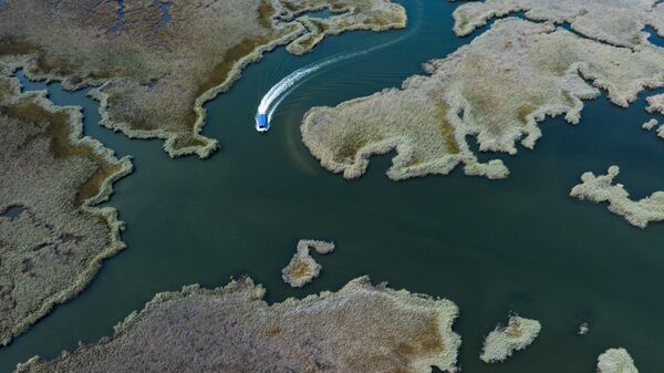 Muğla Ortaca Dalyan - Sputnik Türkiye