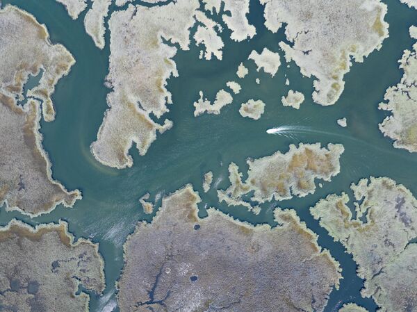 Bölgede yer alan İztuzu Plajı, sadece turistlerin değil aynı zamanda nesli tehlike altında olan caretta carettaların da uğrak noktası. - Sputnik Türkiye