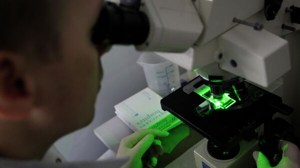 A research team  member looks through a microscope of bacteria use for producing anti-body against malaria at Westminster University in London. - Sputnik Türkiye