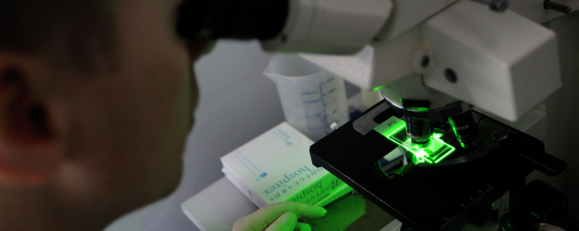 A research team  member looks through a microscope of bacteria use for producing anti-body against malaria at Westminster University in London. - Sputnik Türkiye, 1920, 11.09.2025