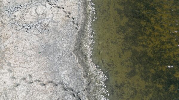 Tekirdağ'da su seviyesi düşen gölette oksijensiz kalan balıklar telef oldu - Sputnik Türkiye