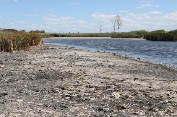 Yetkililer, gölette yaşanan bu durumun tarımsal sulama ve bölgedeki ekosistem için olumsuz sonuçlar doğurabileceğini belirtiyor. - Sputnik Türkiye