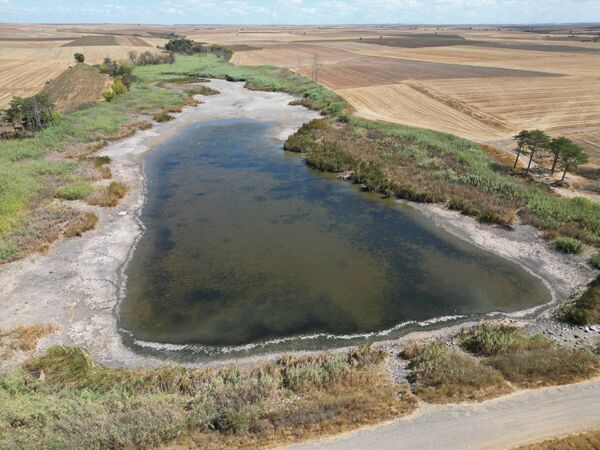 İl Tarım ve Orman Müdürlüğü ekipleri, göletten su ve balık numuneleri alarak laboratuvar incelemesine gönderdi. - Sputnik Türkiye