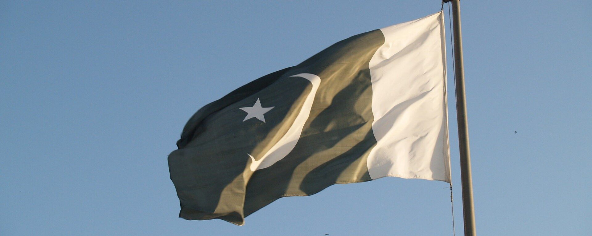 Flag of Pakistan - Sputnik Türkiye, 1920, 29.08.2025