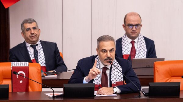 Hakan Fidan - Sputnik Türkiye