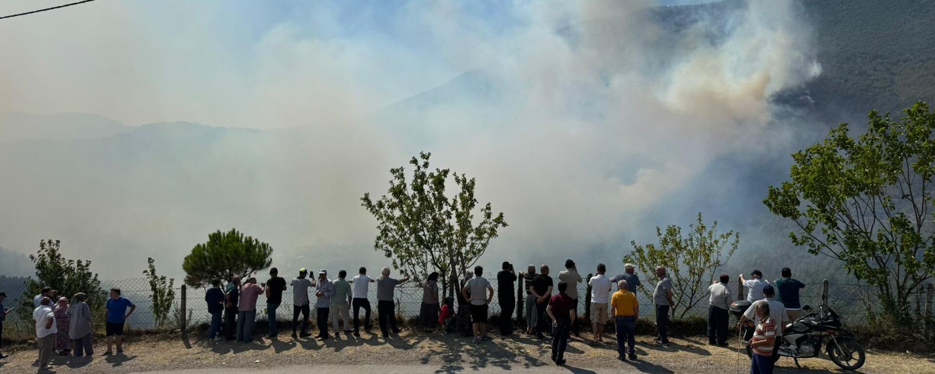 Küre Dağları Milli Parkı - Sputnik Türkiye, 1920, 31.08.2025