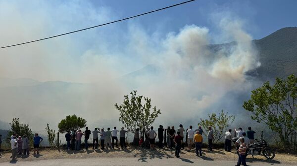 Küre Dağları Milli Parkı - Sputnik Türkiye