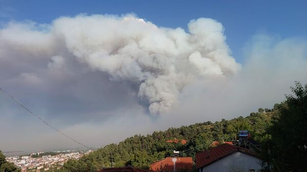 Denizli'nin Buldan ilçesinde çıkan orman yangınını kontrol altına almak için çalışmalar devam ediyor - Sputnik Türkiye