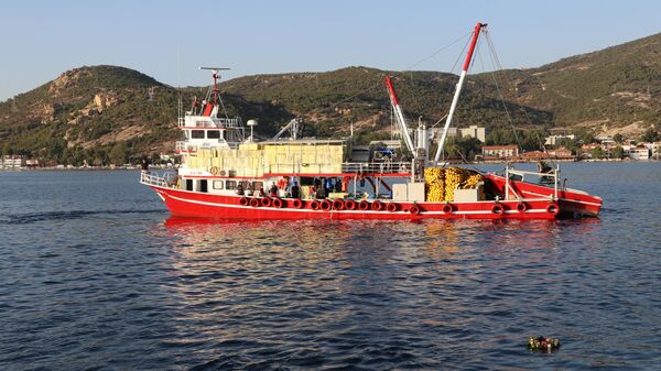 Balıkçılar yaklaşık 5 ay süren aranın ardından denize açıldı - Sputnik Türkiye