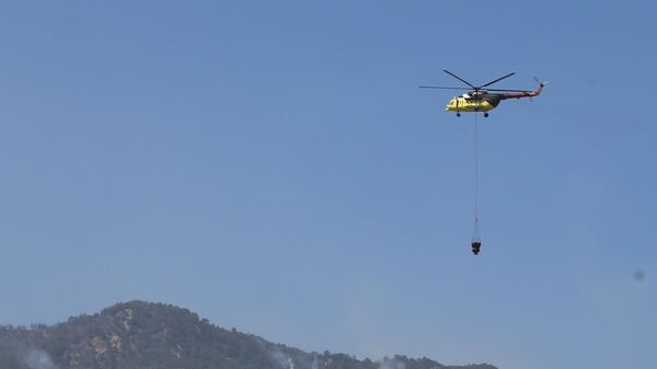 Denizli  - Sputnik Türkiye