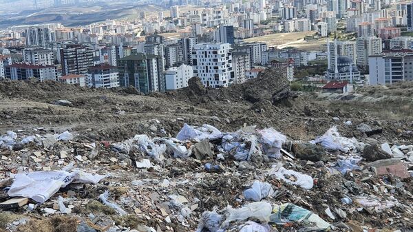 Ankara - Sputnik Türkiye