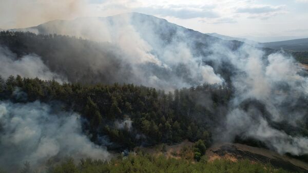 Kastamonu-Karabük sınırında orman yangını - Sputnik Türkiye