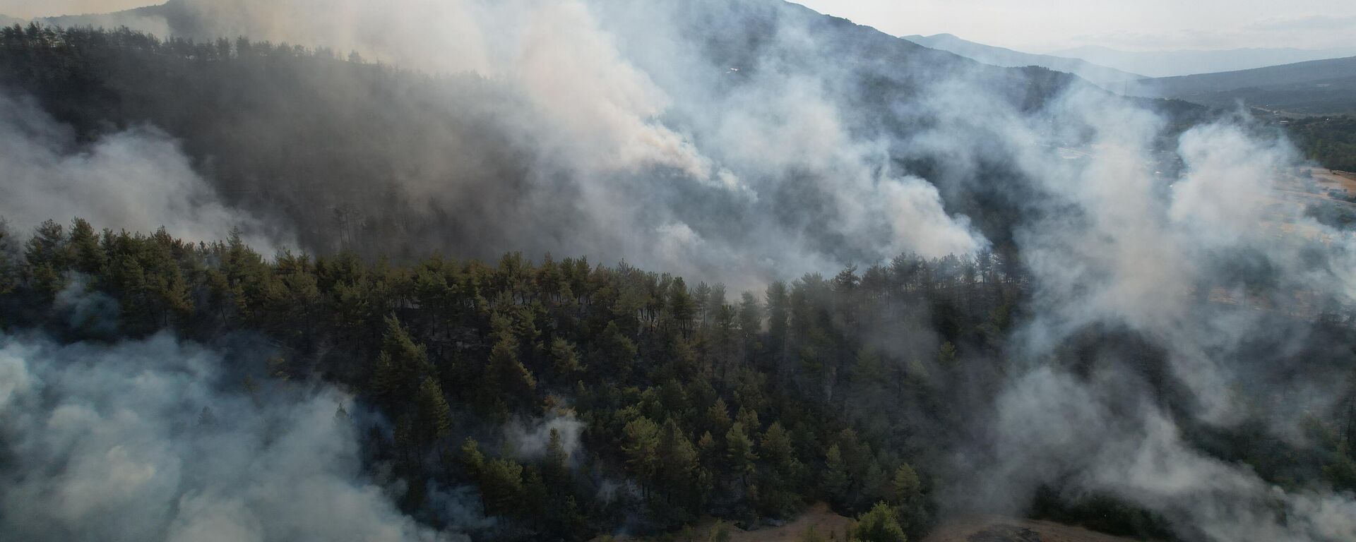 Kastamonu-Karabük sınırında orman yangını - Sputnik Türkiye, 1920, 01.09.2025