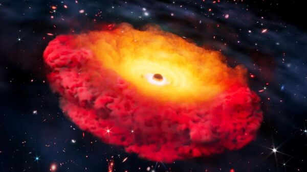 Kara Delik İllüstrasyonu  - Sputnik Türkiye