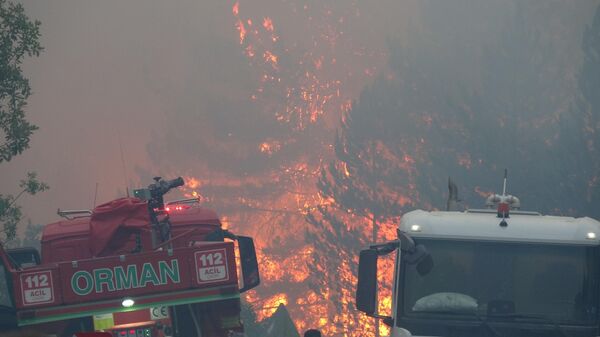 Kastamonu'nun Araç ilçesi Karabük sınırında ormanlık alanda yangın çıktı. - Sputnik Türkiye
