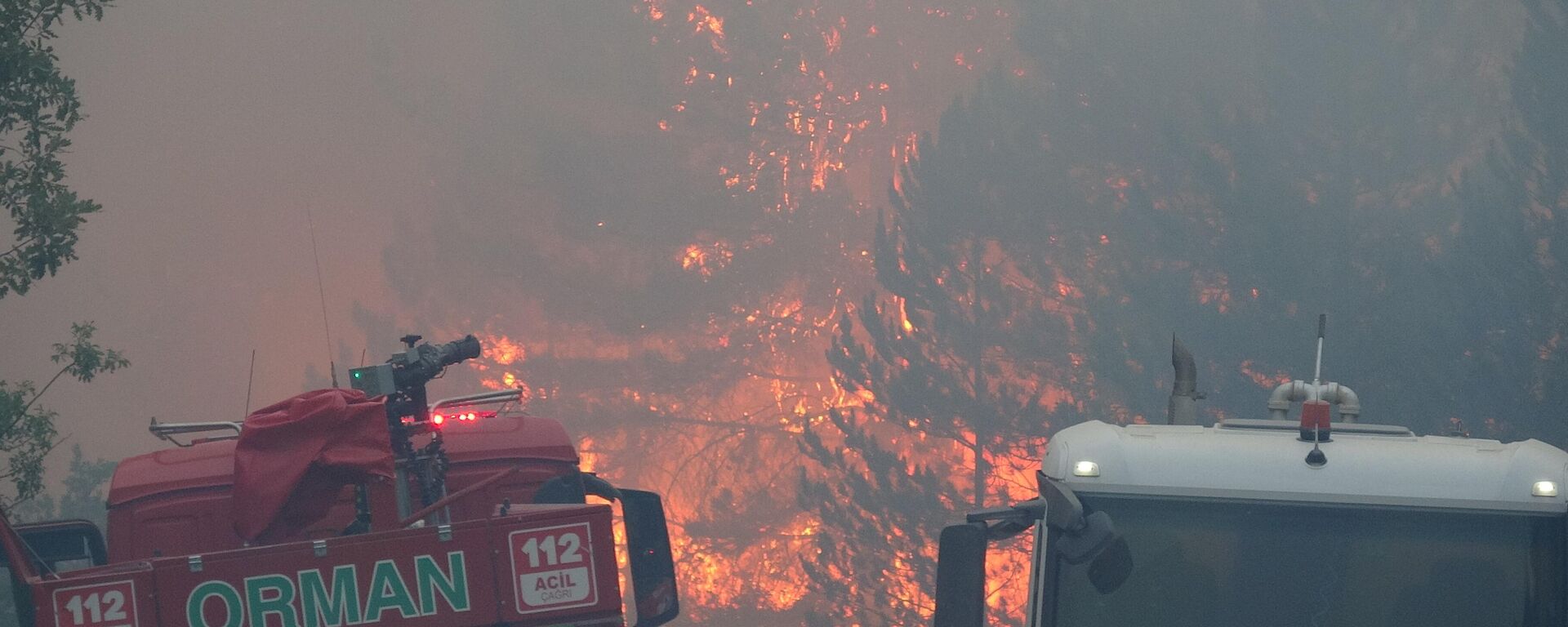 Kastamonu'nun Araç ilçesi Karabük sınırında ormanlık alanda yangın çıktı. - Sputnik Türkiye, 1920, 02.09.2025