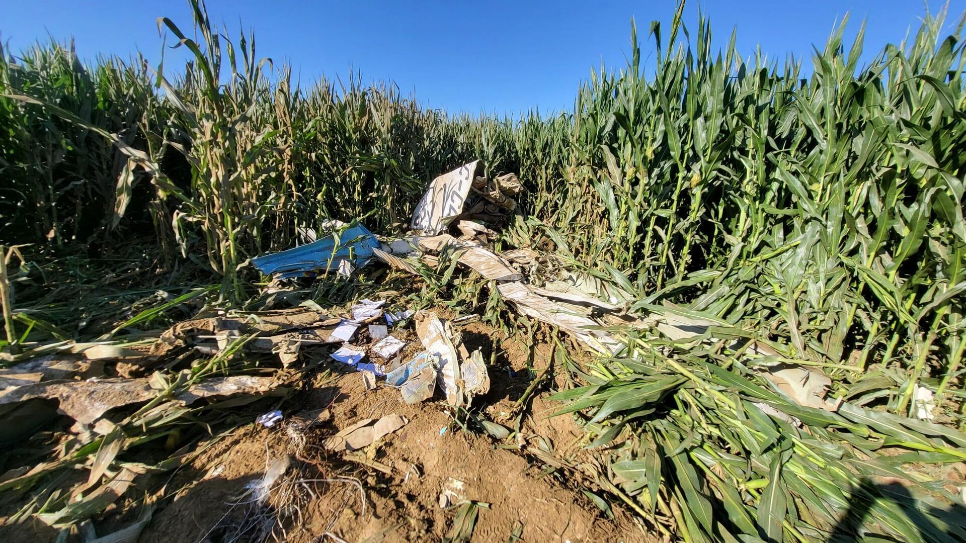 İzmir'de eğitim uçağı düştü - Sputnik Türkiye, 1920, 03.09.2025