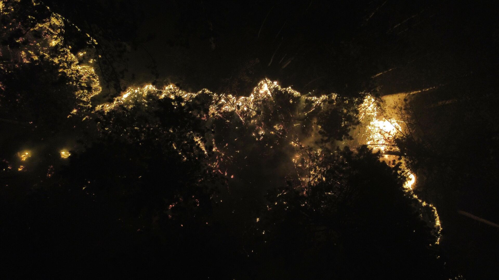 Karabük'te çıkan orman yangınına havadan ve karadan müdahale ediliyor
 - Sputnik Türkiye, 1920, 03.09.2025