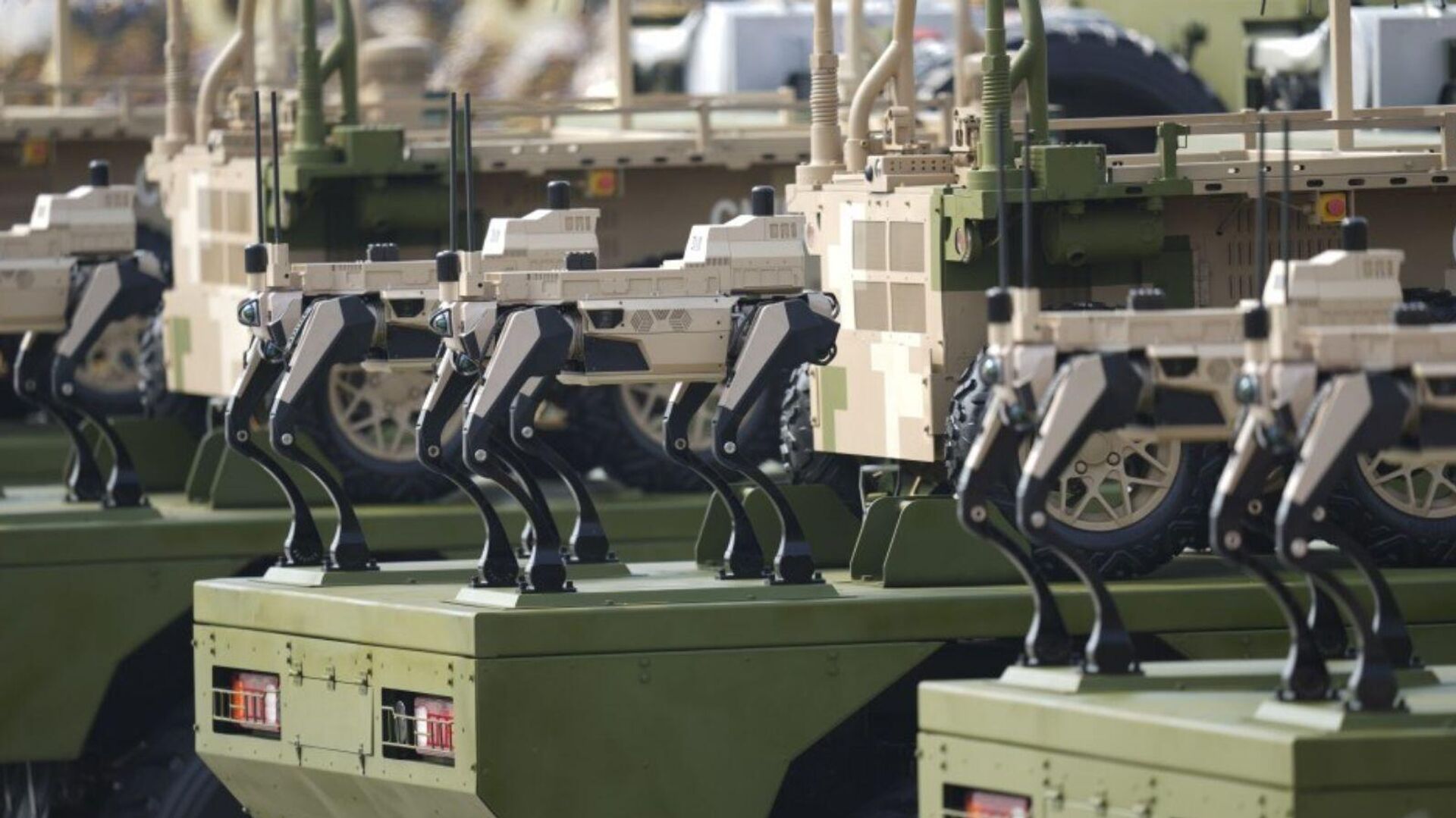 Robot Kurt Köpekleri - Sputnik Türkiye, 1920, 03.09.2025