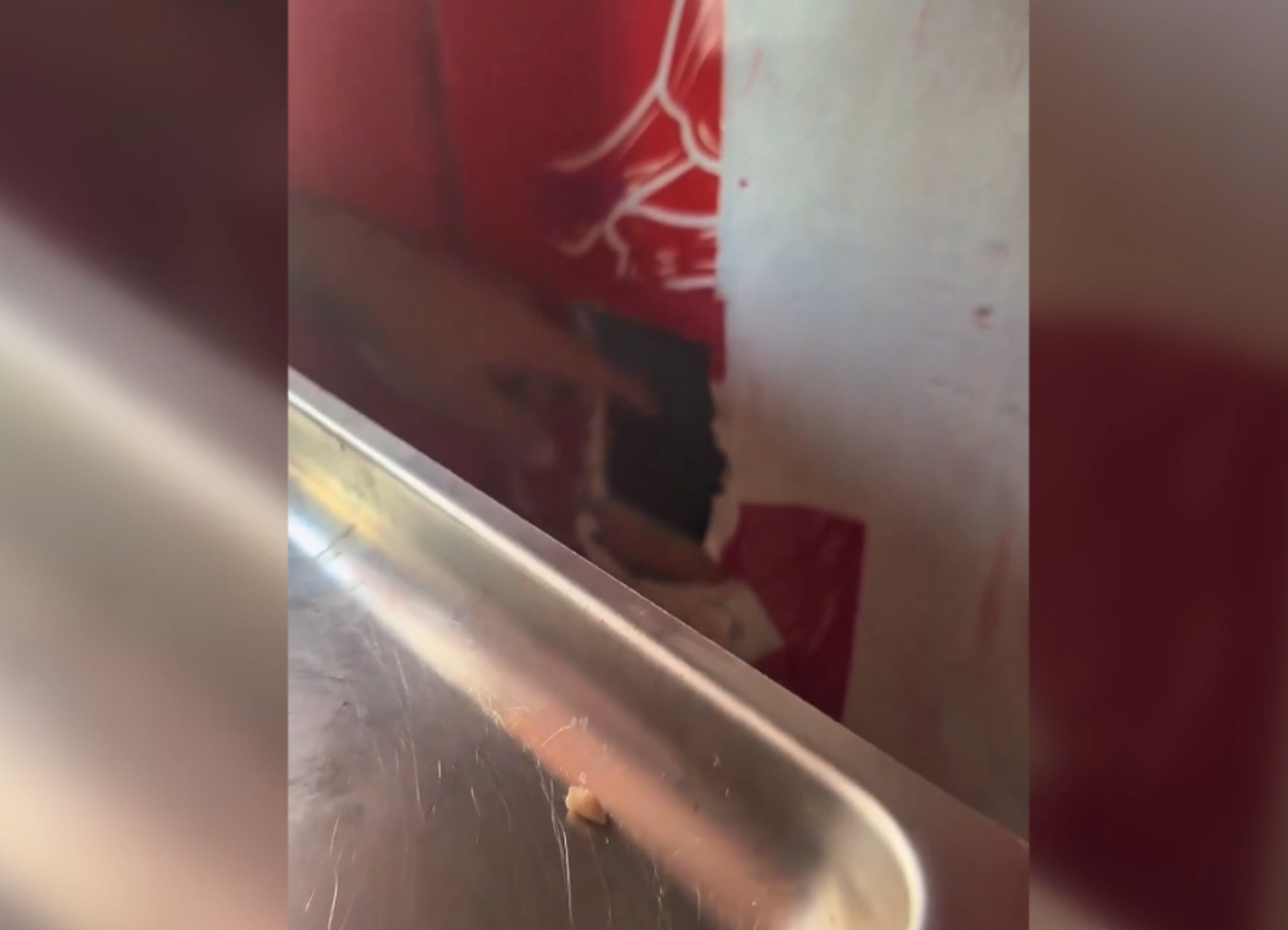 'Et bankası'nda akıl almaz düzenek - Sputnik Türkiye, 1920, 04.09.2025