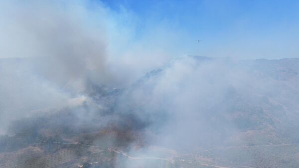 Düzce'nin Yığılca ilçesinde çıkan orman yangını söndürülmeye çalışılıyor. - Sputnik Türkiye