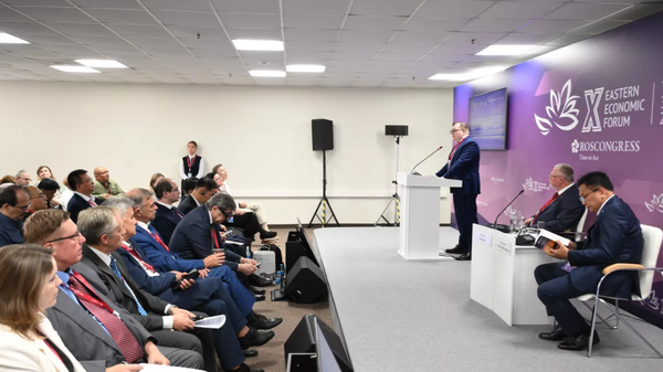 Doğu Ekonomik Forumu, Büyük Anavatan Savaşı ve İkinci Dünya Savaşı Dersleri - Sputnik Türkiye
